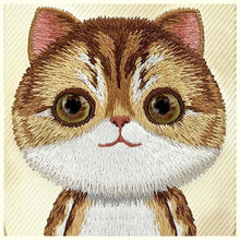 Заредете изображение във визуализатора на галерията – NIMMY case BIG EYED PET 2.0 Cat for IPHONE 15 khaki
