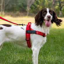 Заредете изображение във визуализатора на галерията – Dog harness REFLECTIVE SILK size XS red
