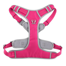 Заредете изображение във визуализатора на галерията – Dog harness OXFORD B size M pink grey
