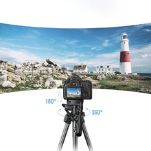Заредете изображение във визуализатора на галерията – Professional Ugreen LP661 tripod for smartphones and cameras - black and gray
